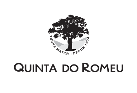 Sociedade Clemente Menéres, Lda.